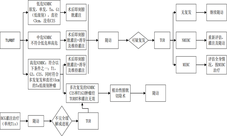 图片2_副本.png