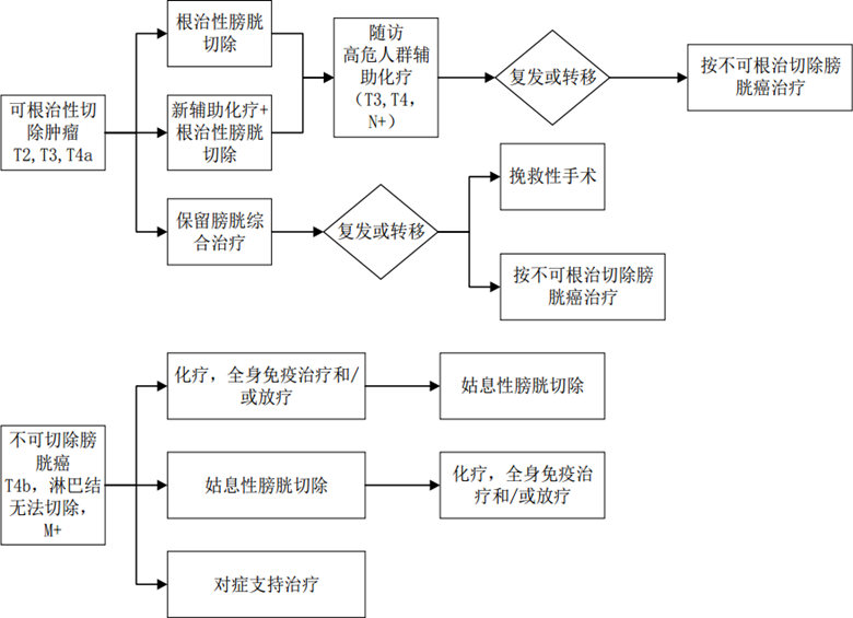 图片3_副本.png